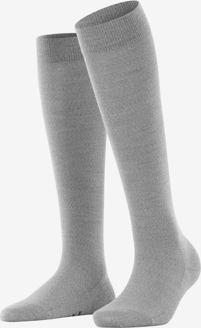 FALKE - Calcetines hasta la rodilla en gris: frente