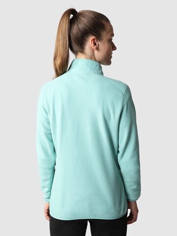 THE NORTH FACE Athletic Sweater 'GLACIER' in Green