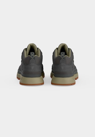 Baskets basses 'Field Trekker' TIMBERLAND en gris