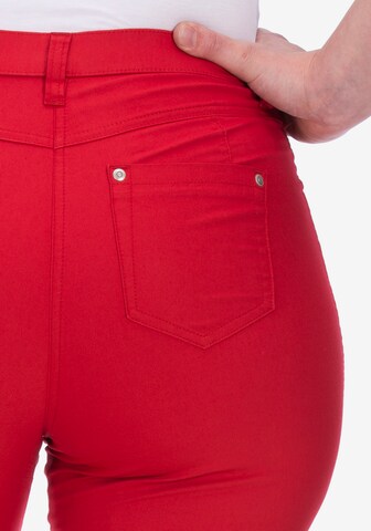 KjBRAND Regular Pants in Red