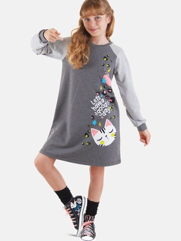 Denokids Dress 'Wild Cat' in Grey: front