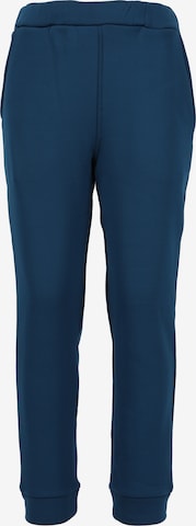 North Bend Trousers 'Shuffler' in Blue: front
