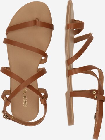 ABOUT YOU Sandals 'Elena' in Brown