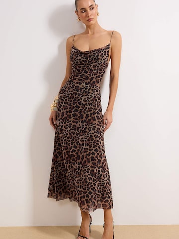 Trendyol Dress in Brown: front