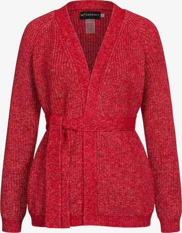 Anushka Gebreid vest in Rood: voorkant