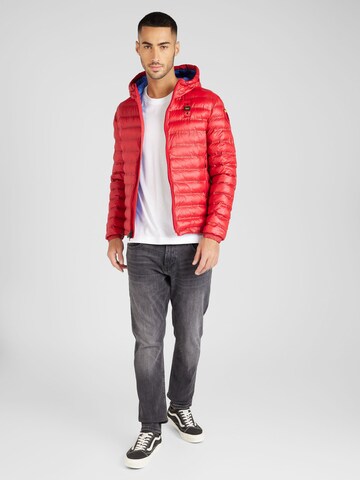 Blauer.USA Jacke in Rot: predná strana