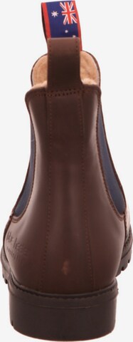 Blue Heeler Chelsea Boots in Brown