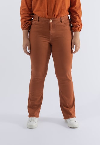 October Regular Pants in Brown: front