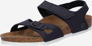 BIRKENSTOCK - Zapatos abiertos 'Colorado' en azul: frente