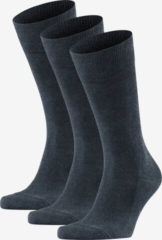 FALKE Socks in Blue: front