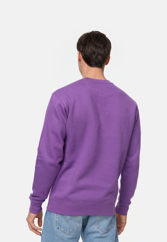 Sweat-shirt smiler. en violet