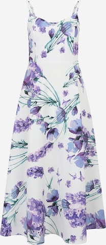 Guido Maria Kretschmer Women Cocktailmekko 'Carola' värissä lila: etupuoli