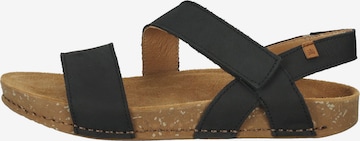 EL NATURALISTA Sandals in Black