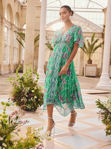 love & roses Cocktailjurk in Groen