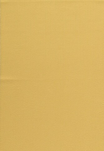 FRAAS Schal 'Cashminkschal' in Gelb