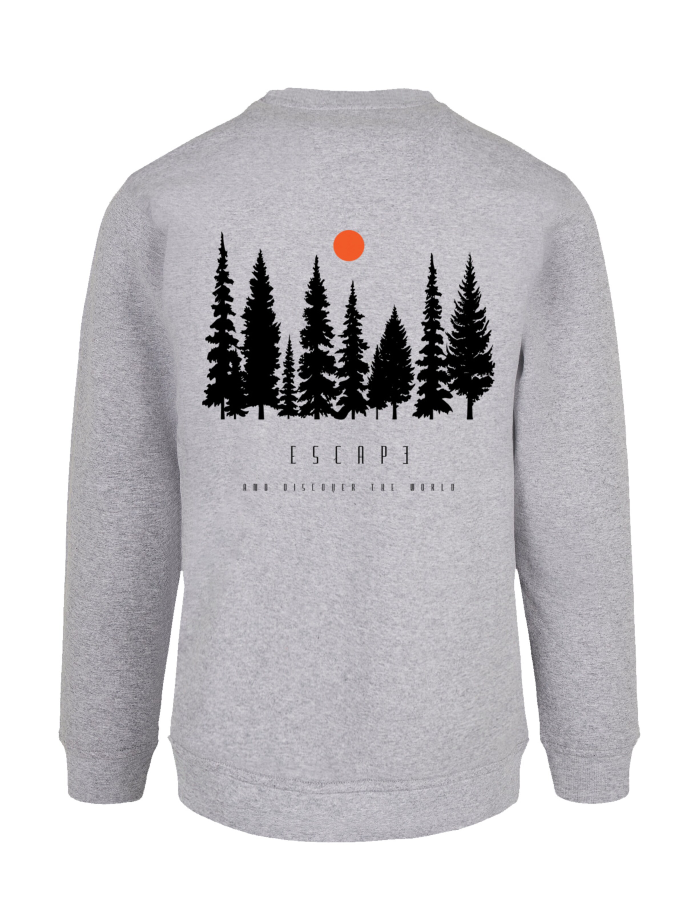Sweat-shirt 'Escape Discover the World Forest' F4NT4STIC en gris