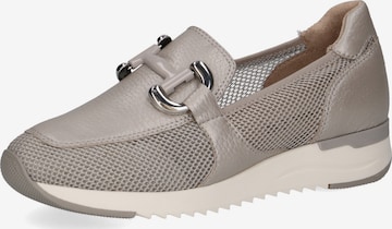 Chaussure basse CAPRICE en gris : devant