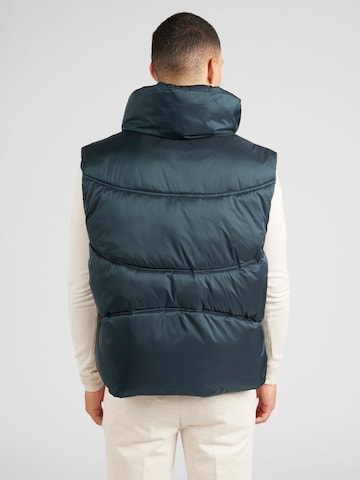 Calvin Klein Jeans Bodywarmer in Blauw