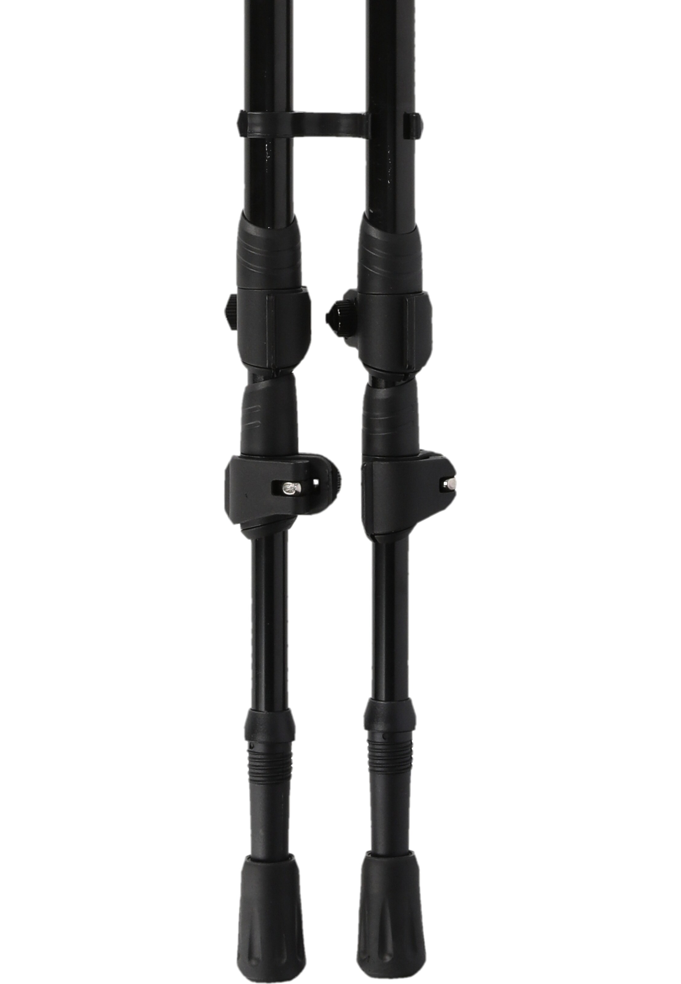 Whistler Nordic Walking-Stöcke 'Delmarva' in Schwarz