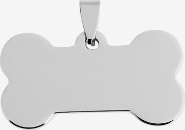 Akzent Pendant 'Lil Boney, langlebig' in Silver: front