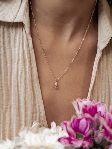 Hey Happiness - Cadena 'Anchor Sparkle' en oro