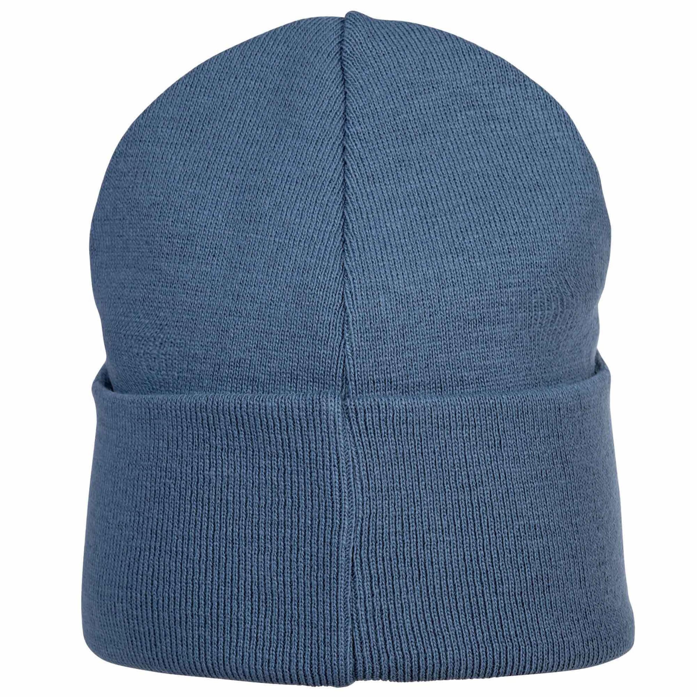 Champion Authentic Athletic Apparel Mütze in Blau