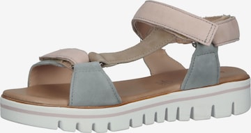 SALAMANDER Strap Sandals in Beige: front