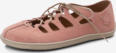 Maciejka Schnürschuh in 36 in pink, Produktansicht