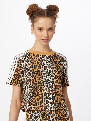 T-shirt ADIDAS ORIGINALS en marron : devant