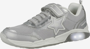 GEOX Sneakers in Grey: front