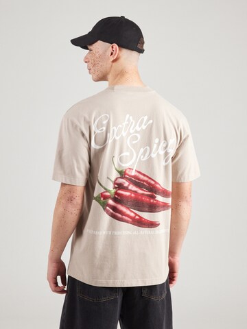 T-Shirt HOLLISTER en marron : devant