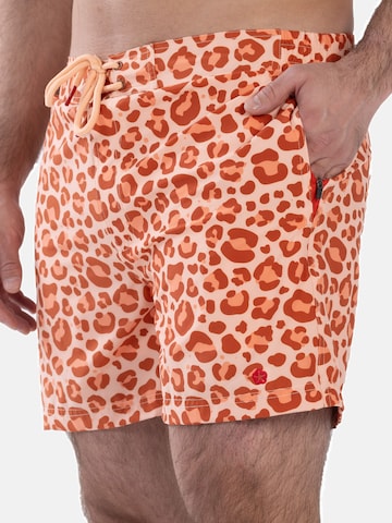 Shorts de bain Frozen Cape en mélange de couleurs