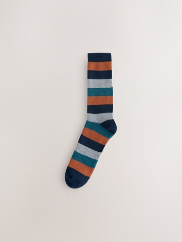 Next Socks in Mixed colours