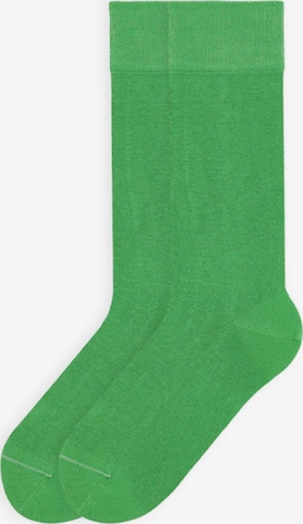 Von Jungfeld Socks 'SIGNATURE' in Green: front