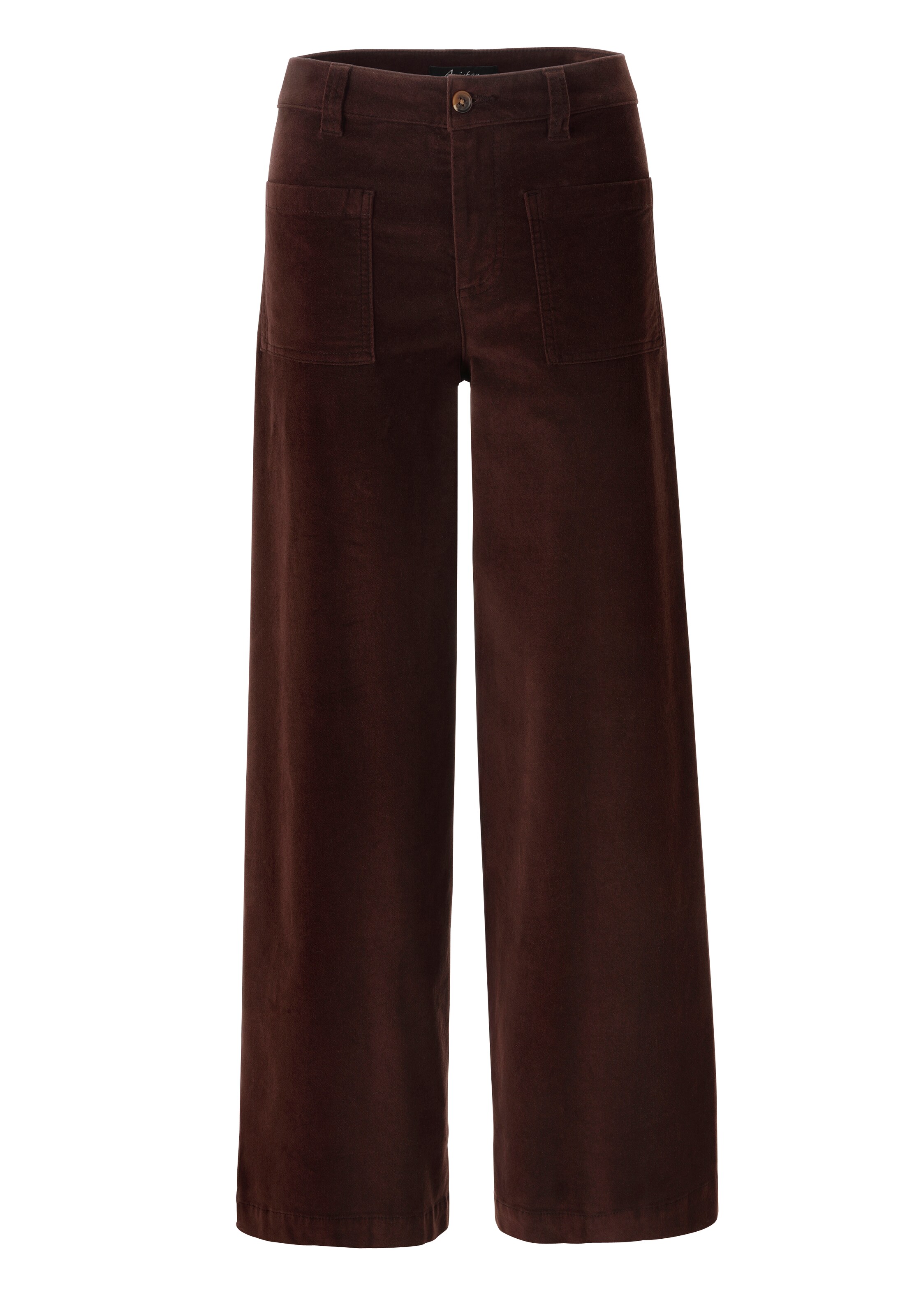 PETROL Wide leg Pants in Brown: front