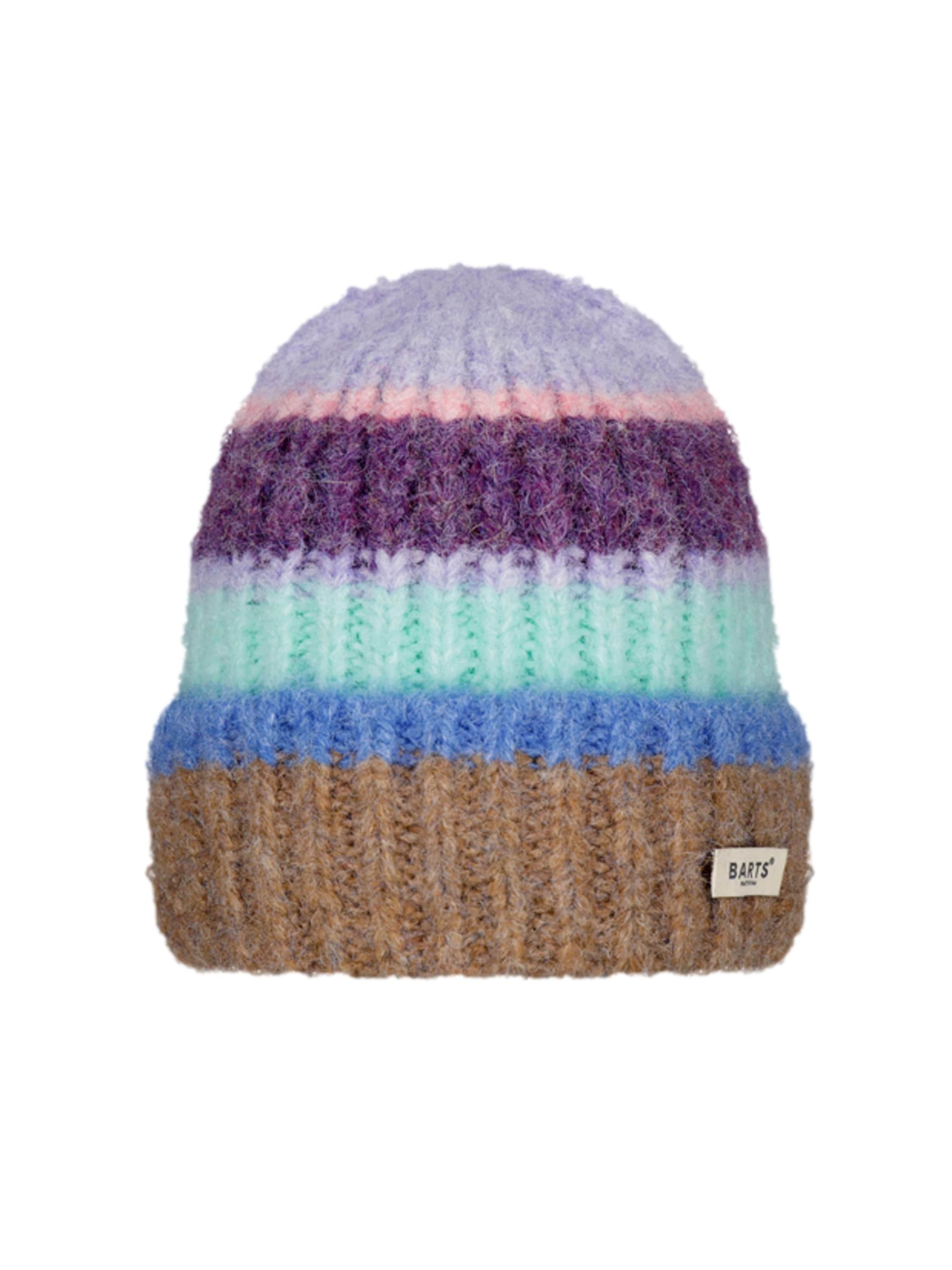 Barts Beanie 'Haputale' in Purple: front