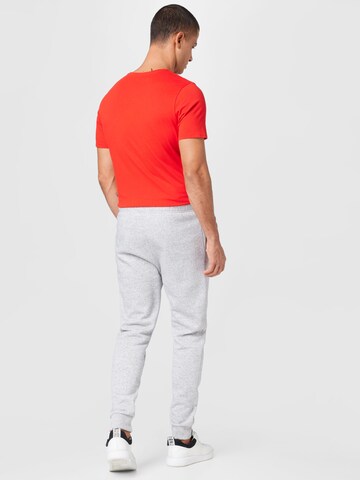 Effilé Pantalon de sport Champion Authentic Athletic Apparel en gris