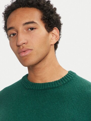 SELECTED Pullover‌‌‌‌‌‌‌ in Grün