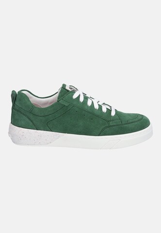 JOSEF SEIBEL Sneakers hoog 'Wilma 03' in Groen