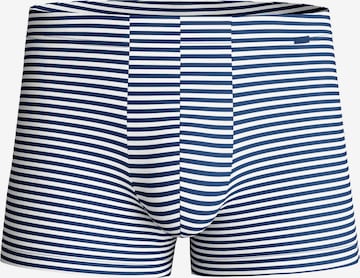 CALIDA Boxer shorts 'Grafic Cotton' in Grey: front