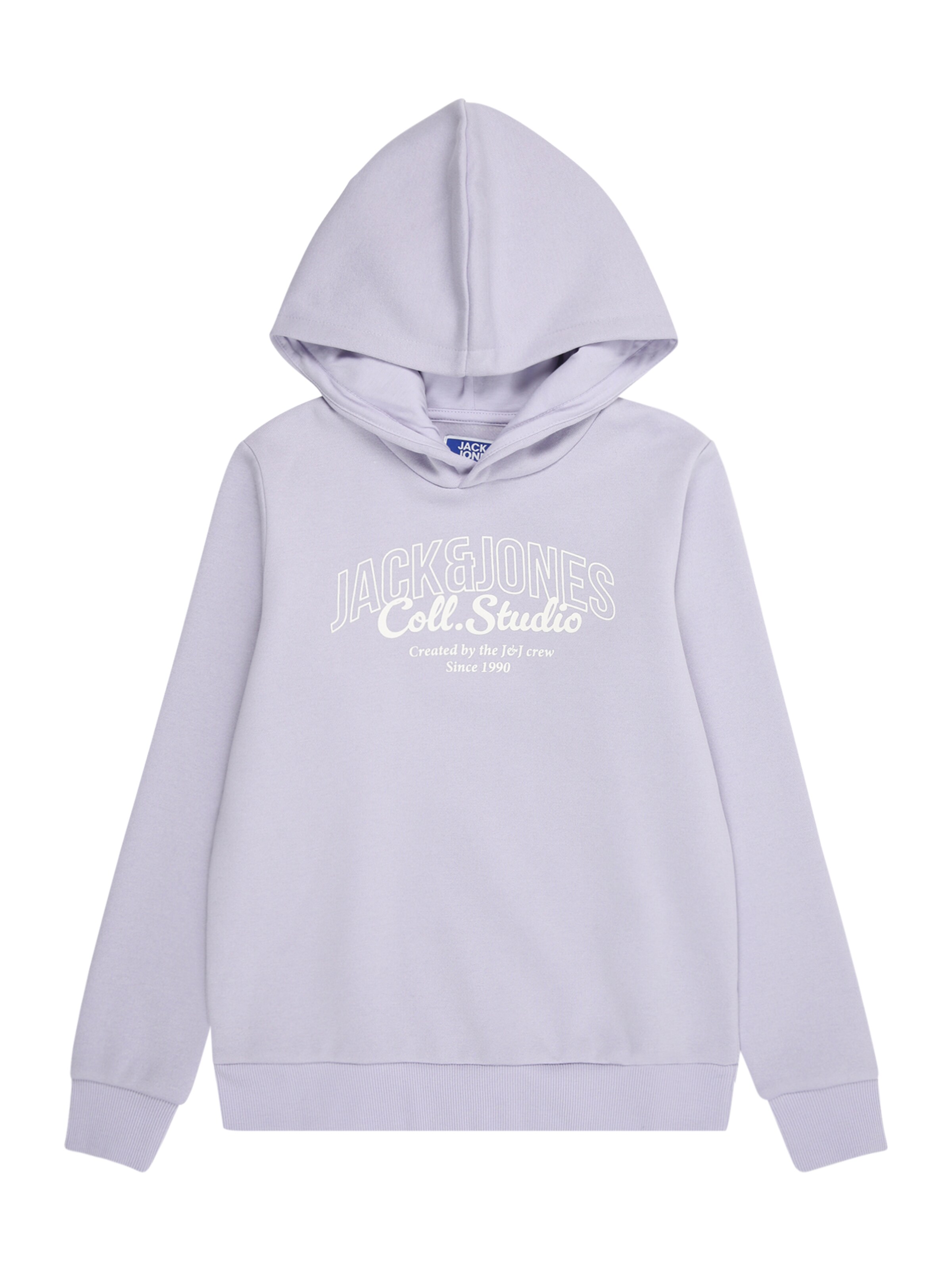 Jack & Jones Junior Sweatshirt 'JJMAKOTO' in Purple: front