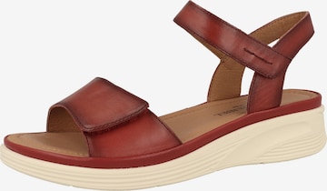 JOSEF SEIBEL Sandaal 'Sevran 01' in Rood: voorkant