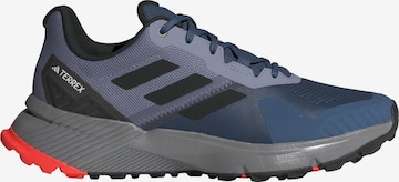 Chaussure de course ADIDAS TERREX en bleu