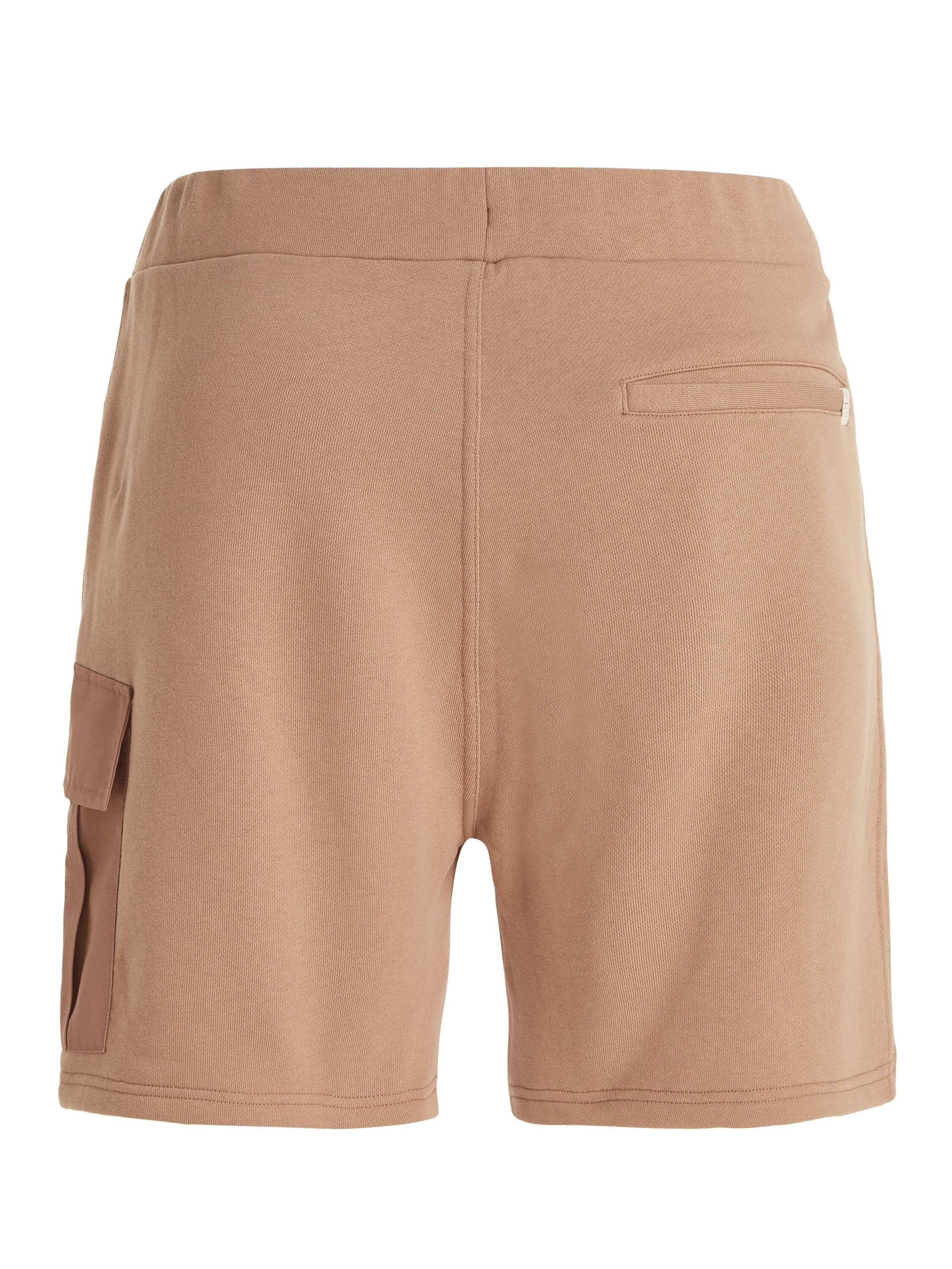 PROTEST Loosefit Sporthose 'PRTOHREN' in Braun