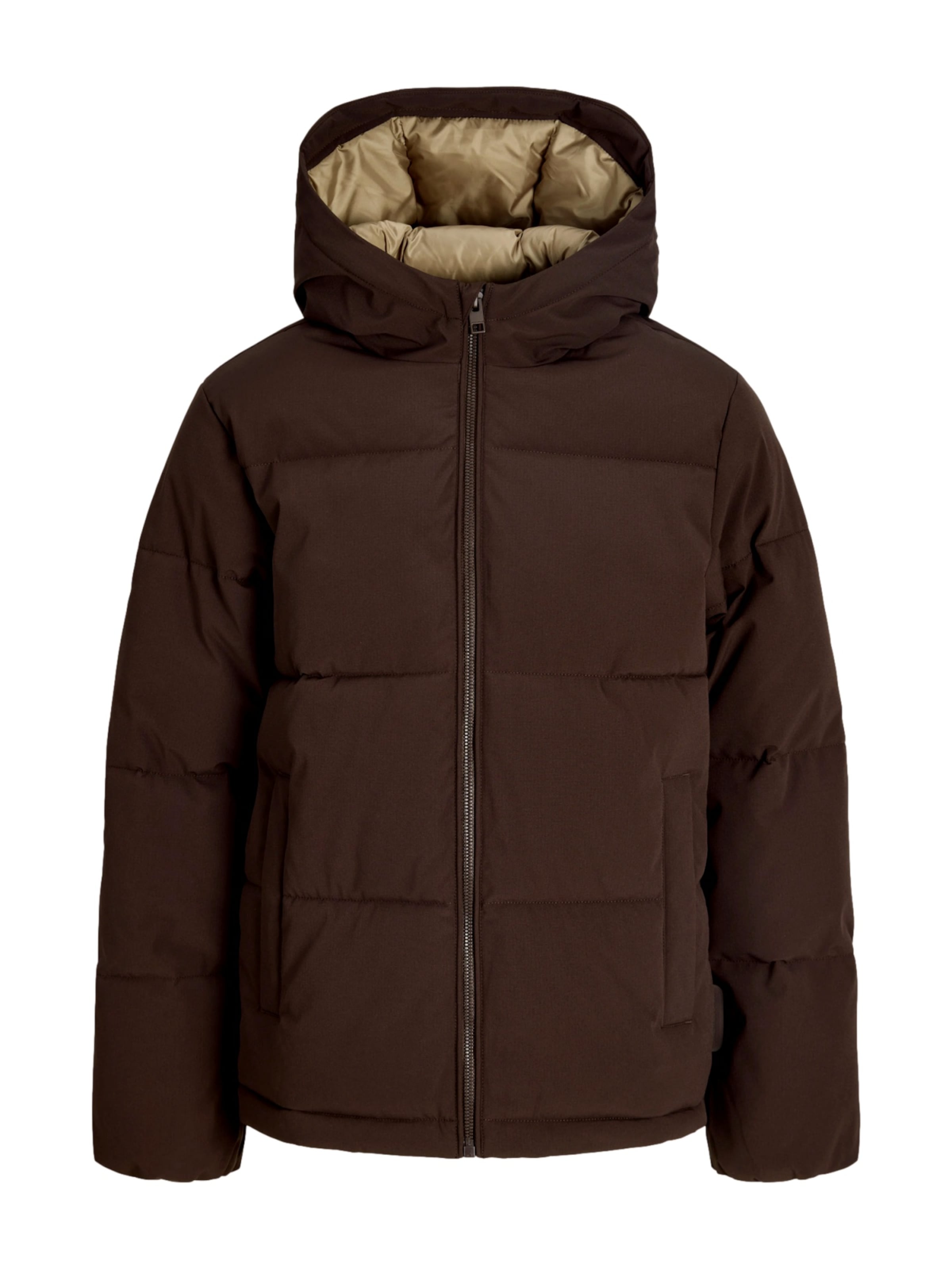 Jack & Jones Junior Winterjas 'Galaxy' in Bruin: voorkant