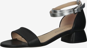 PETER KAISER Strap Sandals in Black: front