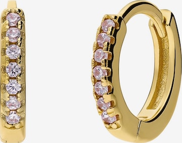 Boucles d'oreilles Lucardi en or : devant