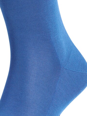 FALKE Socken 'Tiago'‌‌‌‌ in Blau