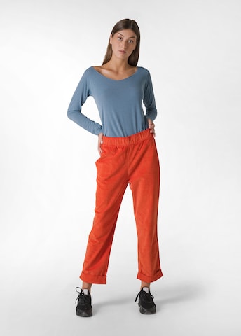 DEHA Regular Hose in Orange