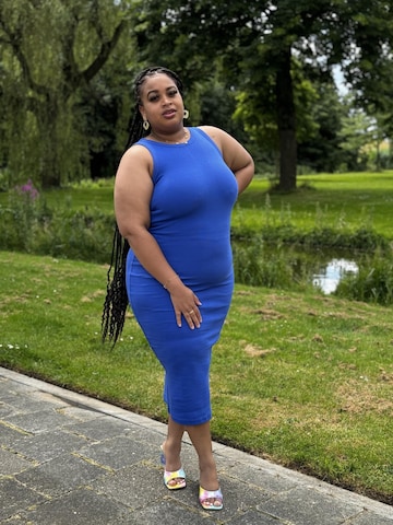 Mowi Fit Dress in Blue